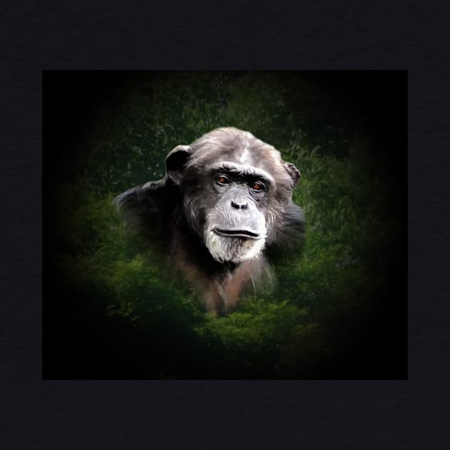 Chimpanzee by Guardi